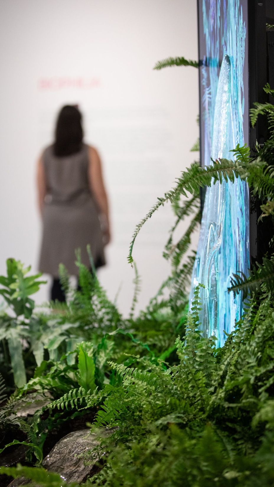 Katherine Melançon, <i>Vers un parlement du vivant IV – Fossilisation du soleil</i>, 2023. Photo : Ysabelle Latendresse