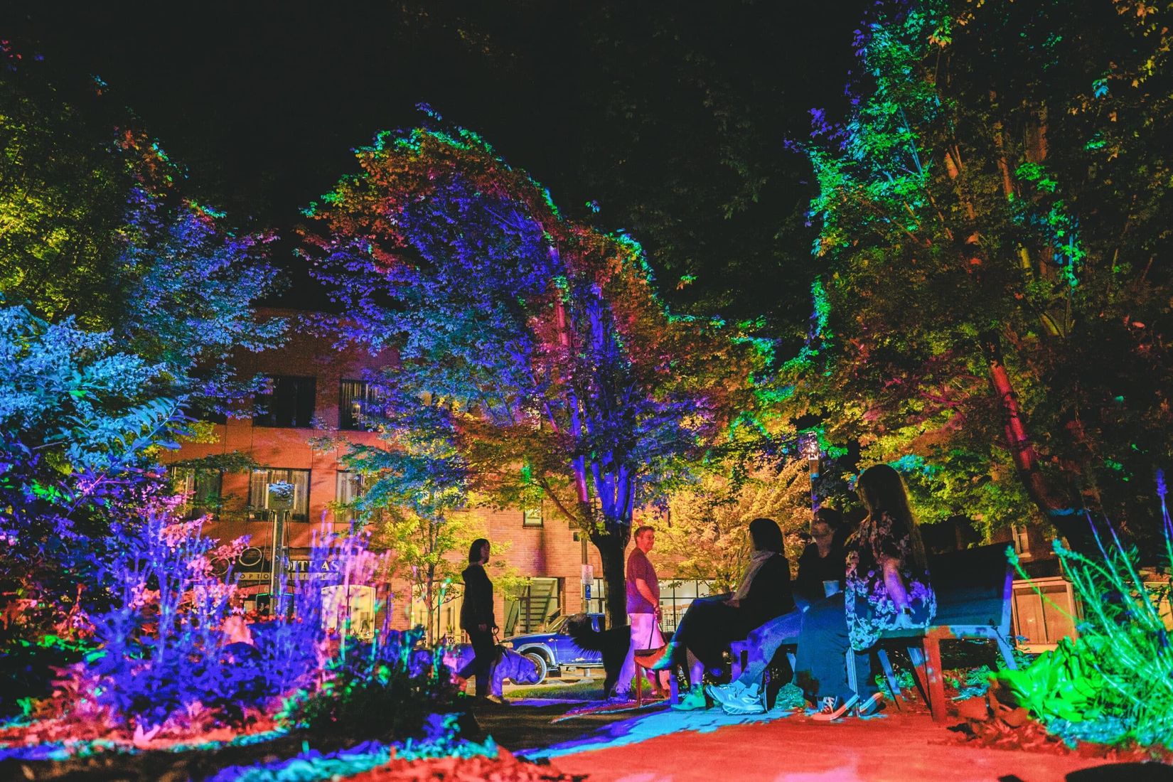 Alexis Gros-Louis, <i>‘Hi non’</i>, 2024. Photo : Catrine Daoust