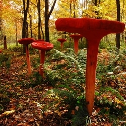 Karen Macher. Chanterelles rouges, 2008. Bois (pin), teinture. ©Mouvement Essarts